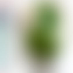 La danseuse et la feuille - #5