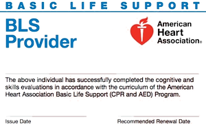 BLS Card