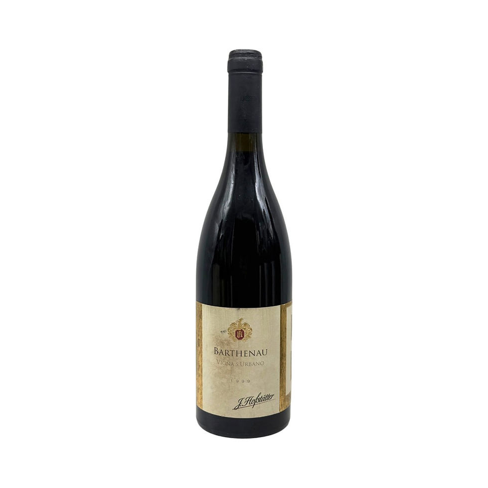 Miniatura: Hofstätter 1999 Barthenau Vigna S. Urbano Pinot Nero Alto Adige DOC