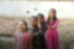 about-genesis-banner.jpg