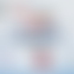 Donz GMAT & Synergy US MSF 分享會