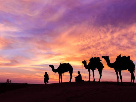 Top Reasons to Try an Overnight Safari in Abu Dhabi