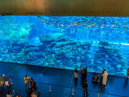 What to Do with Kids at Dubai Mall (Beyond Just Shopping)?