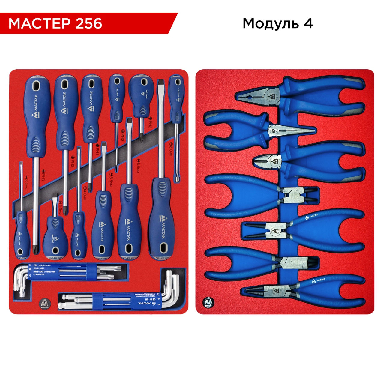 Набор инструментов 256 предметов, "МАСТЕР 256", для тележки, 11 ложементов МАСТА