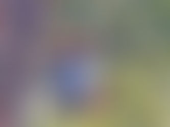 Adjusting for Joy…