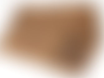 Pe ce au scris oamenii de-a lungul istoriei?