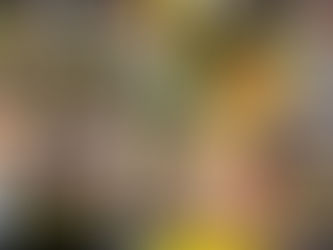 【FANZAにて、2/7(水)午前10時まで30%オフセール中!】「素人気狂いマ◎コ生中出し 028 りん 32歳 専業主婦」(藤井凛) from プラム