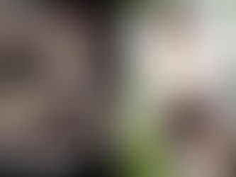 【FANZAにて、本日4/30(木)夜11時59分まで日替わりセール中!】「ドキュメント・レ●プ2 藤崎エリナ」