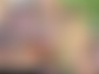 【FANZAにて、3/11(火)夜11時59分まで30%オフセール中!最強女優の名作】「露出中出しいいなり温泉旅行 林ゆな」