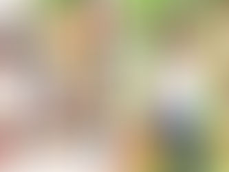 【FANZAにて、あす3/30(日)午前11時59分まで日替わりセール中!太さ筋骨で悩殺する得がたい素材の初物】「初撮り本物人妻 AV出演ドキュメント~38歳・元モデル妻~ 郡司結子」