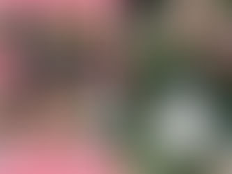 【FANZAにて、あす2/5(水)午前10時まで30%オフセール中!の鬼畜作】「あなる屋スナッフ!深●絵里似の銀行窓口の女の子を24時間ガチで貪ってケツ婚してみた件 松ゆきの」