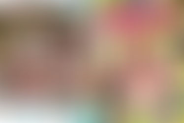 【FANZAにて、2/18(火)夜11時59分まで30%オフセール中!】「ボクの彼女 LEYNA」