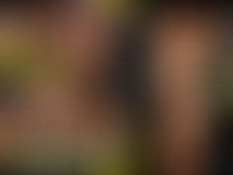【FANZAにて、あさって8/1(金)午前9時59分まで50%オフセール中!】「マッスルアスリート 鍛え抜かれた腹筋 武藤あやか」