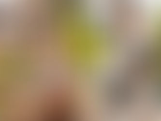 【FANZAにて、9/22(水)午前10時まで30%オフセール中!】「汗だく汁だくスポコスSEX 七海ティナ」