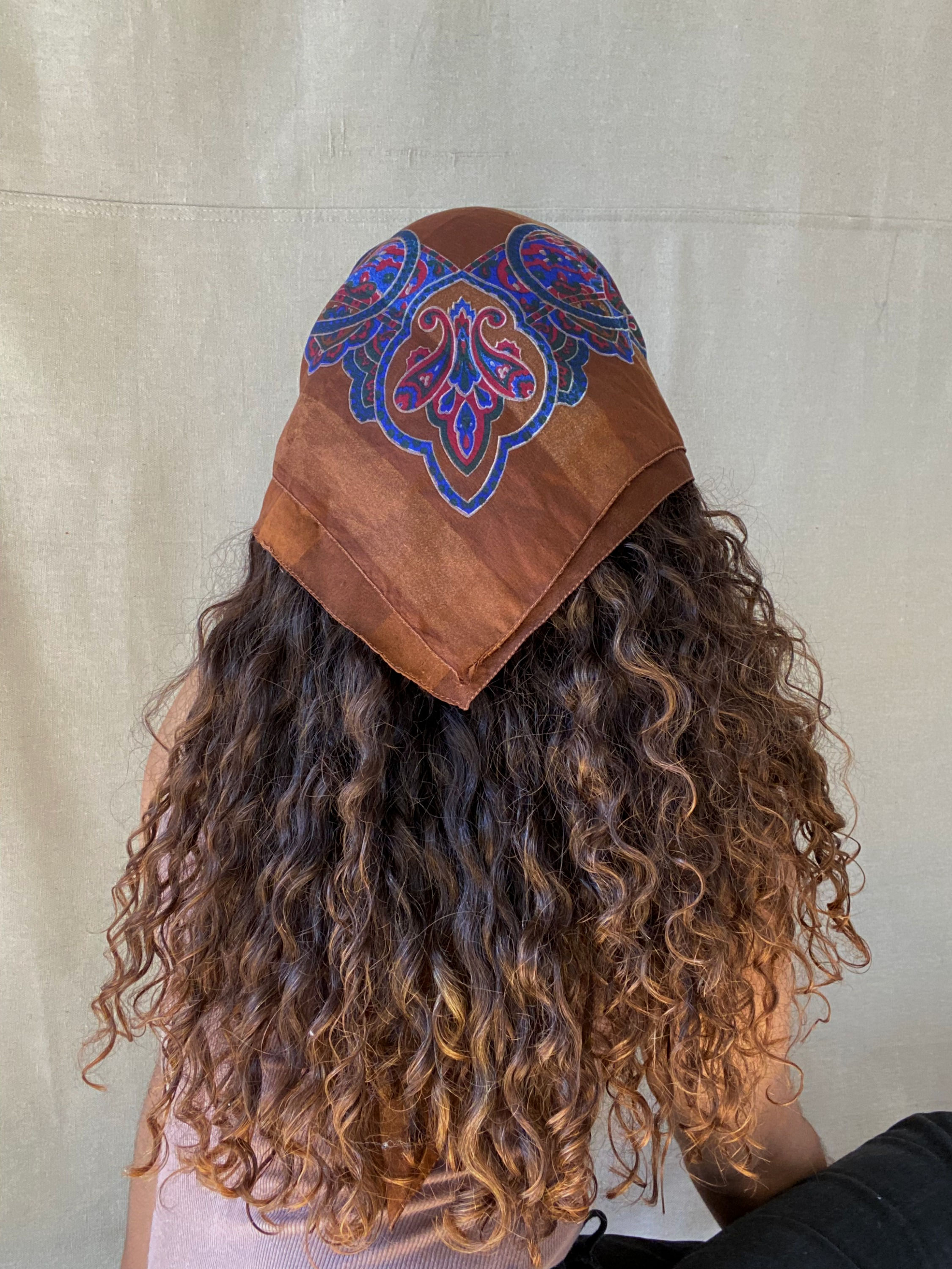 Brown and Navy Paisley Bandana