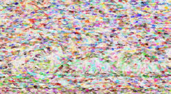 Colours in the air  - D