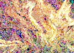 Frosted Phoenix  - C