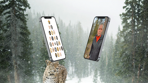 julkalendergif1.gif