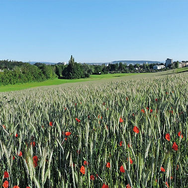 edith-häusler-ig-lätten