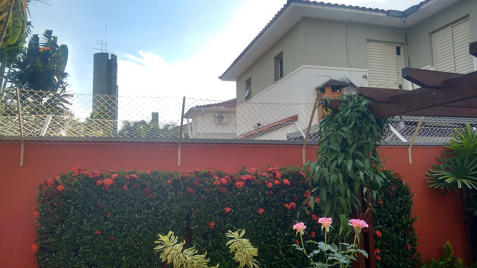 Fechamento para gatos