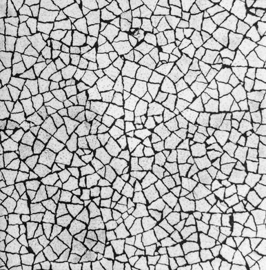 Éclats d'ivoire - Incrustation de coquilles d'autruche et de laque noir