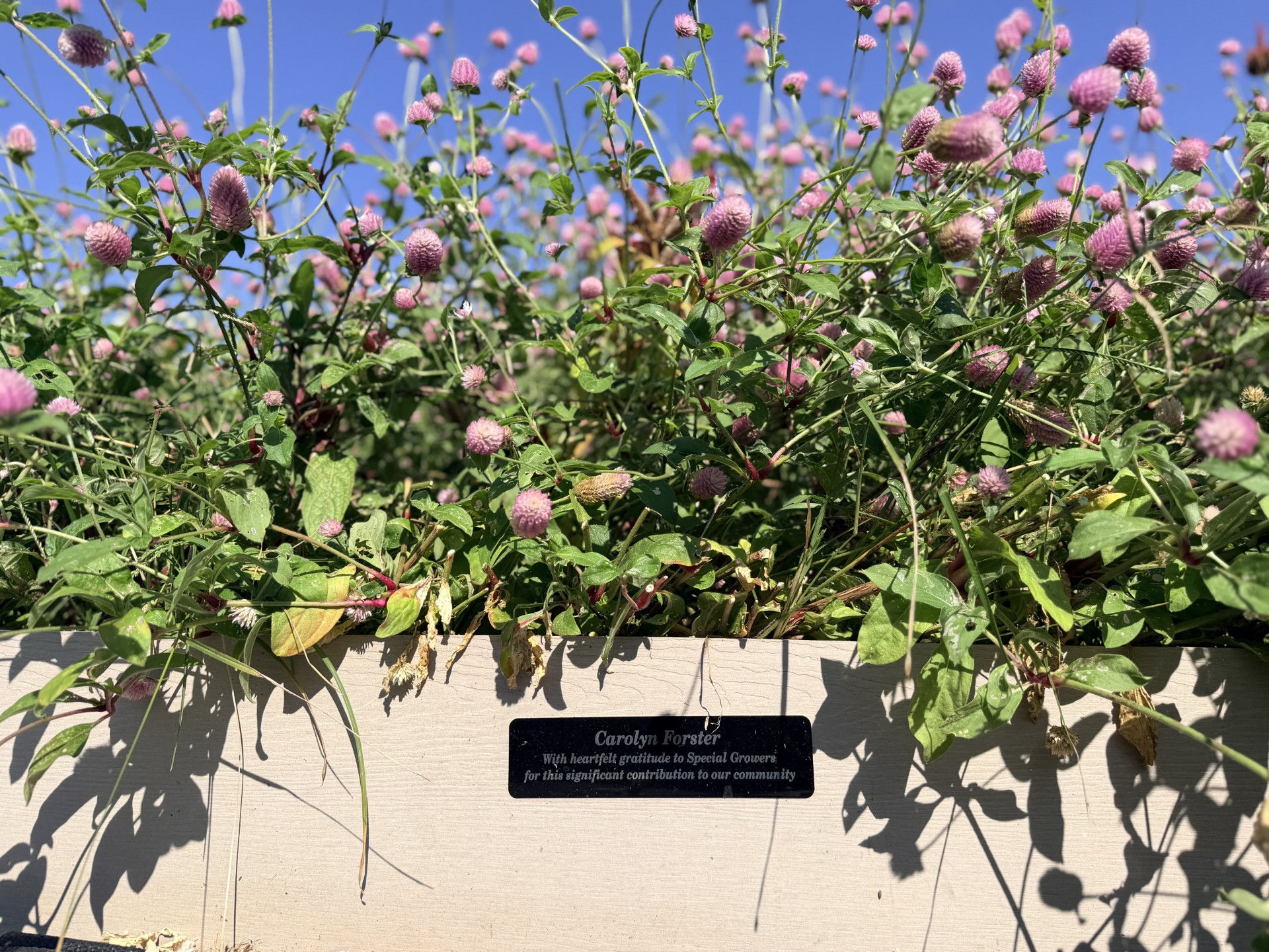 Garden Box Stewardship Program