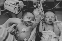 Kara Rohl Photography