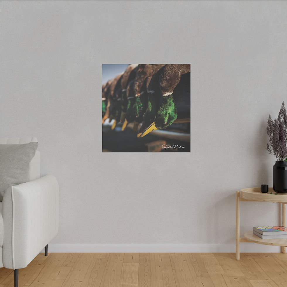 Thumbnail: Matte Canvas, Stretched, 0.75" - Mallards