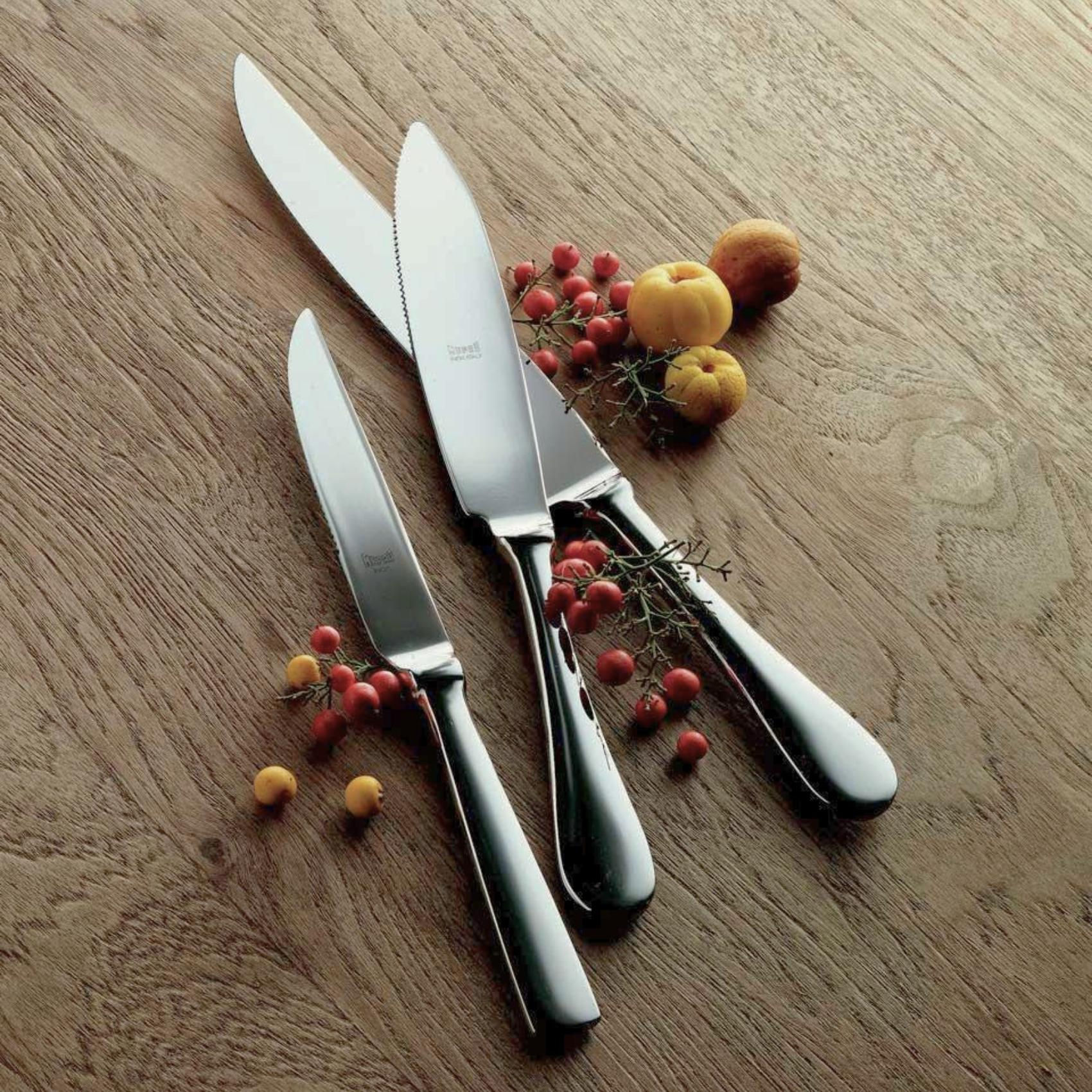 set of 4 premium steak knives