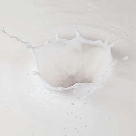 1200px x 1200px template (16).jpg