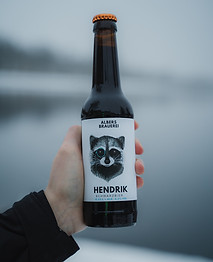 Foto_Anton_Fischer_Hendrik_web.JPG