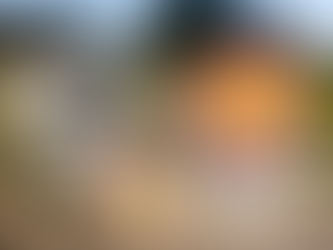 L’HACCP Sardegna Tour 2026 parte da Cagliari con una Madrina d'eccezione