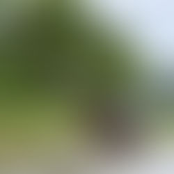 July 2024 - Week 1 Roundup