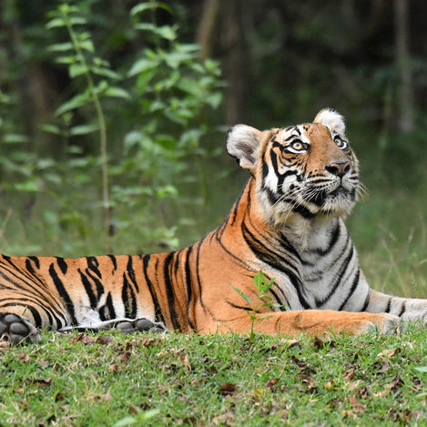 November 2023 - Week 3 Roundup