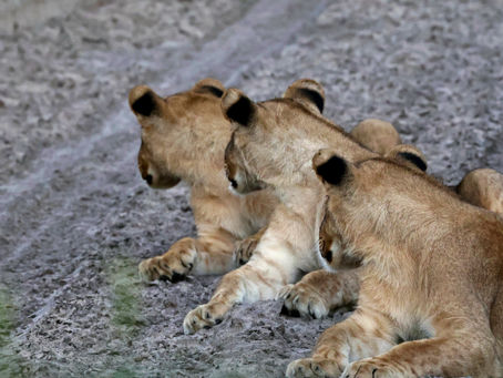 March 2026 - Week 2 Roundup