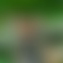 October 2024 - Week 1 Roundup