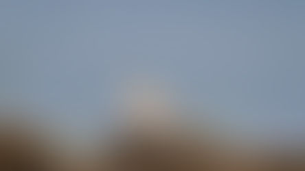 December 2025 - Week 5 Roundup