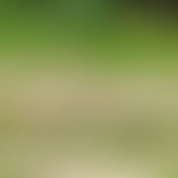 February 2026 - Week 4 Roundup