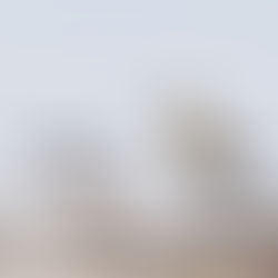 December 2025 - Week 4 Roundup