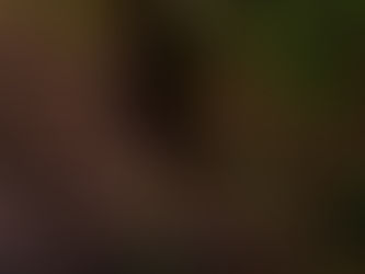 January 2026 - Week 3 Roundup