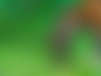 October 2026 - Week 1 Roundup