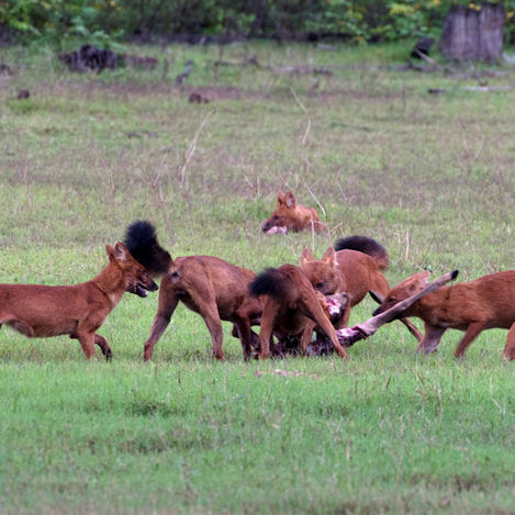 October 2023 - Week 2 Roundup