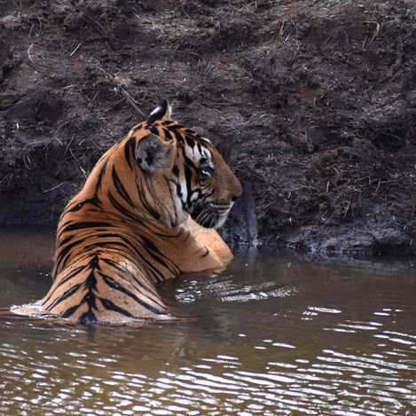 October 2024 - Week 2 Roundup