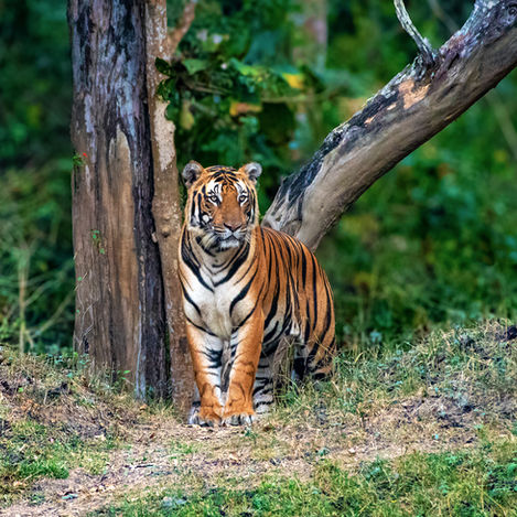 February 2025 - Week 2 Roundup