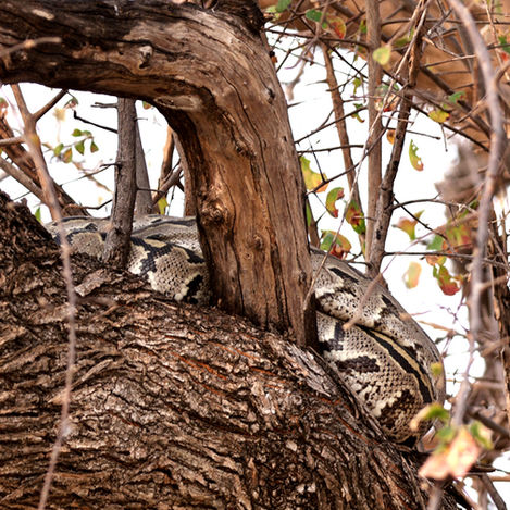 September 2025 - Week 2 Roundup