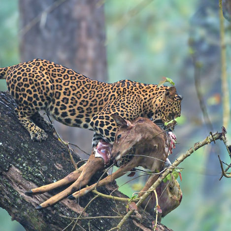 January 2024 - Week 3 Roundup