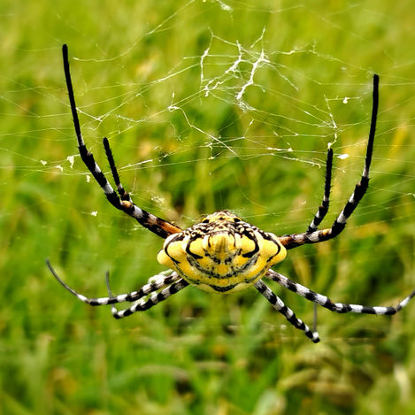 March 2025 - Week 1 Roundup