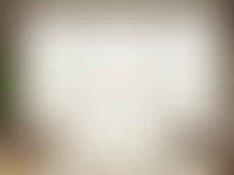 Save Energy with Custom Vertical Blinds: Your Guide to Energy-Saving Blinds