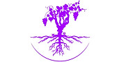 domaine du petit moura.jpg