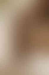 assemblage queue d’aronde Neptune vs autre marque